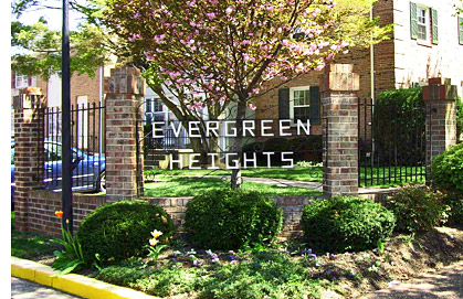 Evergreen Heights in spring