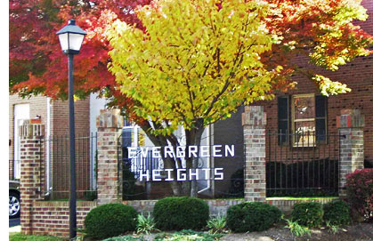 Evergreen Heights in spring